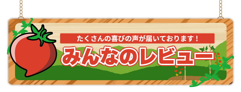 トマトに含まれる「リコピン」に注目！
